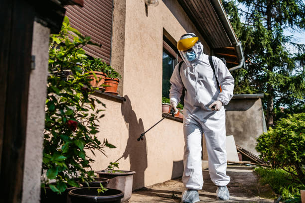 Best Affordable Pest Control Services  in Ben Wheeler, TX