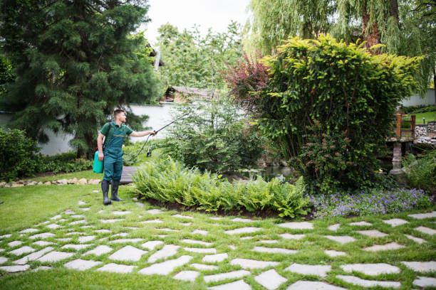 Best Pest Control Cost  in Ben Wheeler, TX