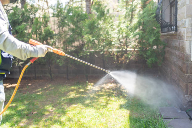 Pest Control Cost in Ben Wheeler, TX