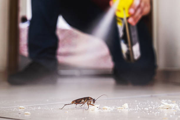  Ben Wheeler, TX Pest Control Pros
