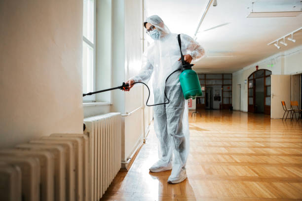 Best Cockroach Control Services  in Ben Wheeler, TX