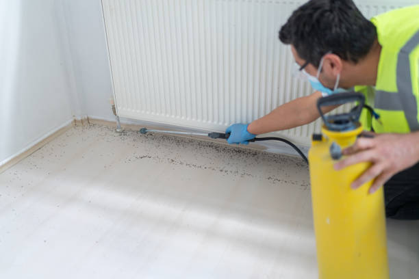Best Pest Prevention Services  in Ben Wheeler, TX