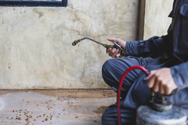 Best Pest Control Treatment  in Ben Wheeler, TX