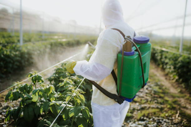 Best Commercial Pest Control Services  in Ben Wheeler, TX